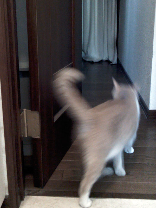 トイレから出て行くジンジン